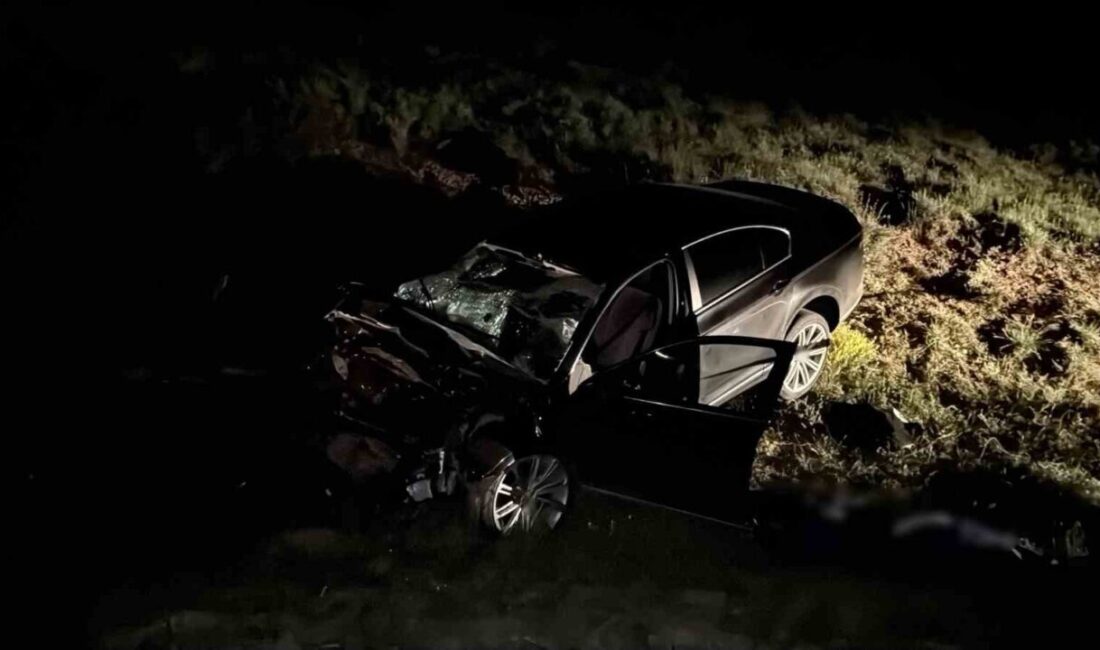 Sivas’ta meydana gelen trafik kazasında iki aracın çarpışması sonucunda 3
