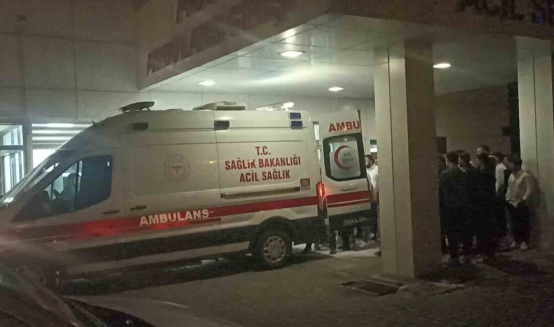 Sivas’ın Gürün ilçesinde yaşanan bir anlaşmazlık, silahlı bir kavgaya dönüştü