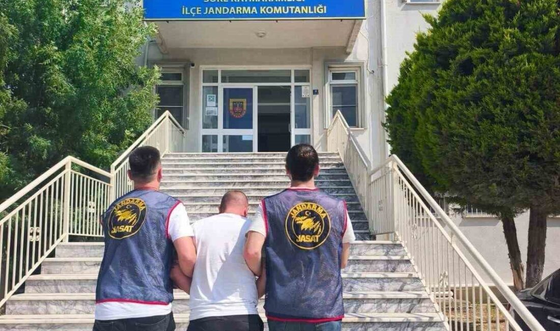 Söke ilçesinde, Taksirle Ölüme Neden Olma suçundan 8 yıl 6