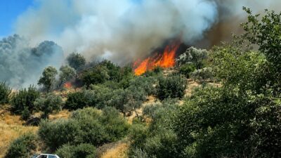 Aydın’ın Söke ilçesinde, Pamukçular Mahallesi yakınlarında meydana gelen yangın, kuvvetli