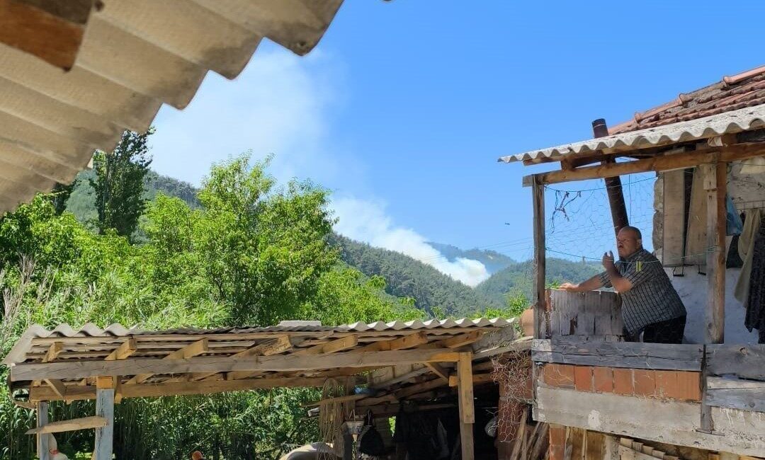 Manisa’nın Soma ilçesine bağlı Tabanlar Mahallesi çevresindeki ormanlık alanda bugün