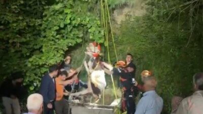Kastamonu İnebolu ilçesinde, İnek Kurtarıldı! Kastamonu’nun İnebolu ilçesine bağlı Göçkün