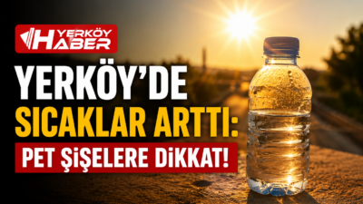 Yozgat’ın Yerköy ilçesinde yaz sıcaklarının iyice bastırmasıyla birlikte, uzmanlar ve