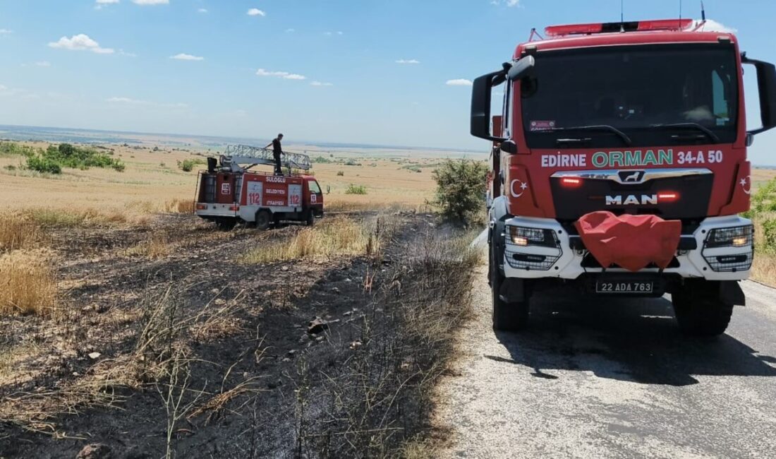 Edirne’nin Süloğlu ilçesindeki bir arazi yangınında buğday tarlasına zarar verildi.