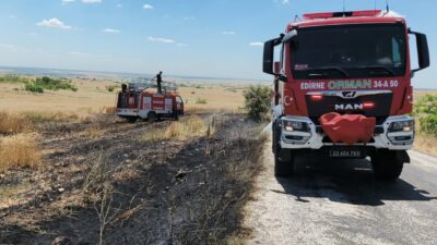 Edirne’nin Süloğlu ilçesindeki bir arazi yangınında buğday tarlasına zarar verildi.