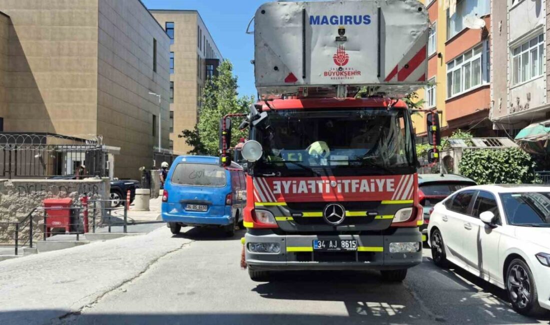 İstanbul’un Sultangazi ilçesinde bulunan Sosyal Bilimler Yüksek Meslek Okulu’nda meydana