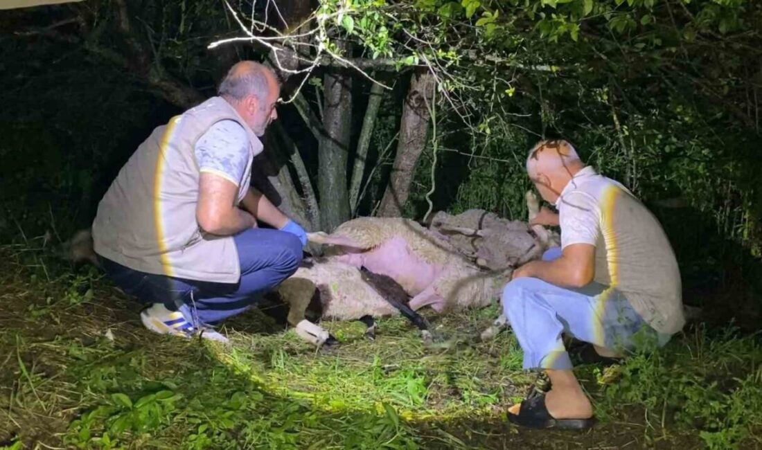 İnegöl ilçesine bağlı Alibeyköy Mahallesi’nde meydana gelen olayda, şiddetli yağmur