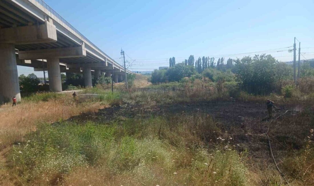 Susurluk ilçesinde bulunan otoyol viyadüğü mevkisinde çıkan ot yangını, Balıkesir
