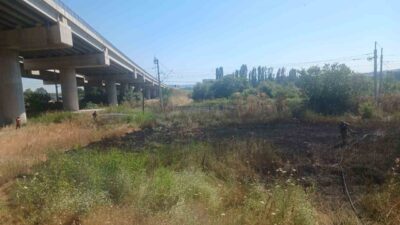 Susurluk ilçesinde bulunan otoyol viyadüğü mevkisinde çıkan ot yangını, Balıkesir