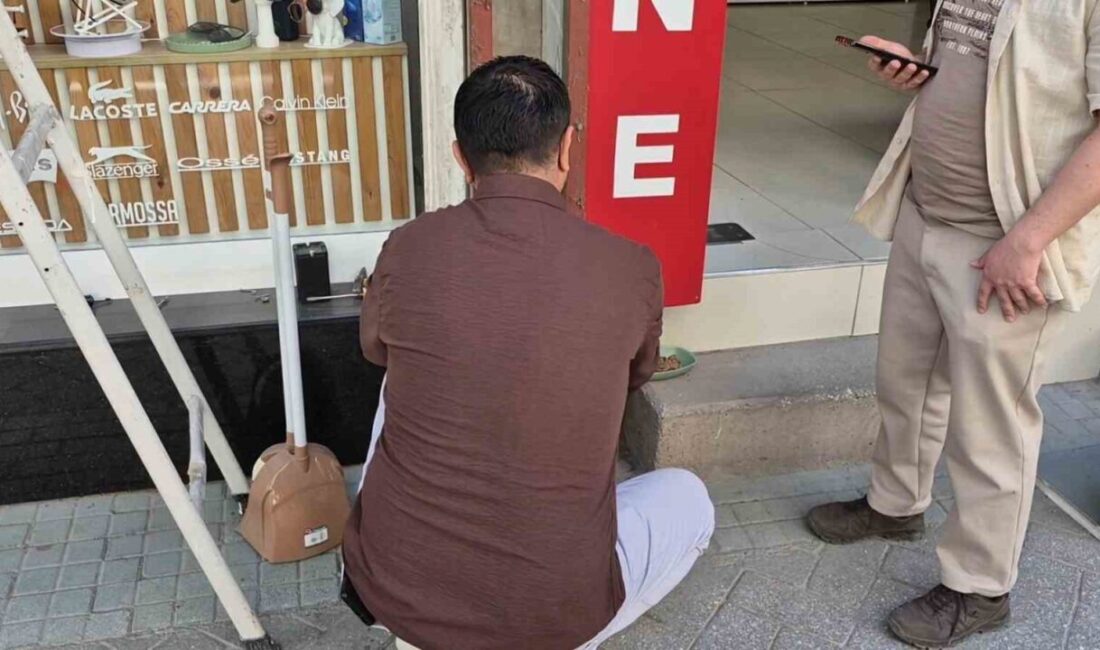 Eskişehir’de bir eczane tabelasına sıkışan yavru kedi, çevredeki esnafın koordineli