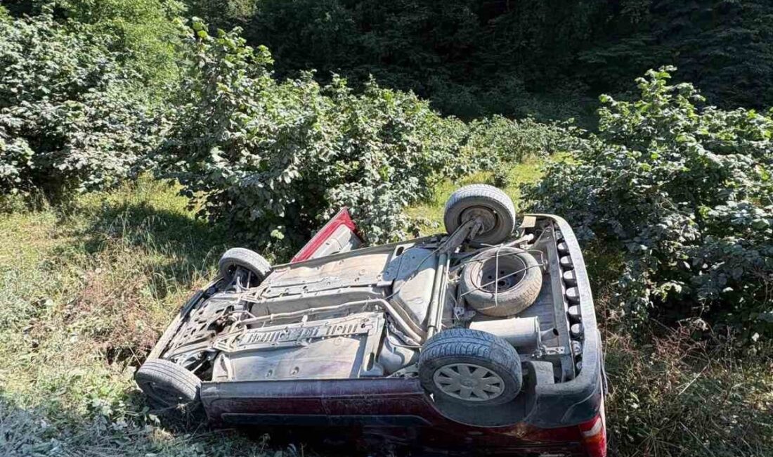 Alaplı ilçesinde meydana gelen trafik kazasında bir otomobil kontrolden çıkarak