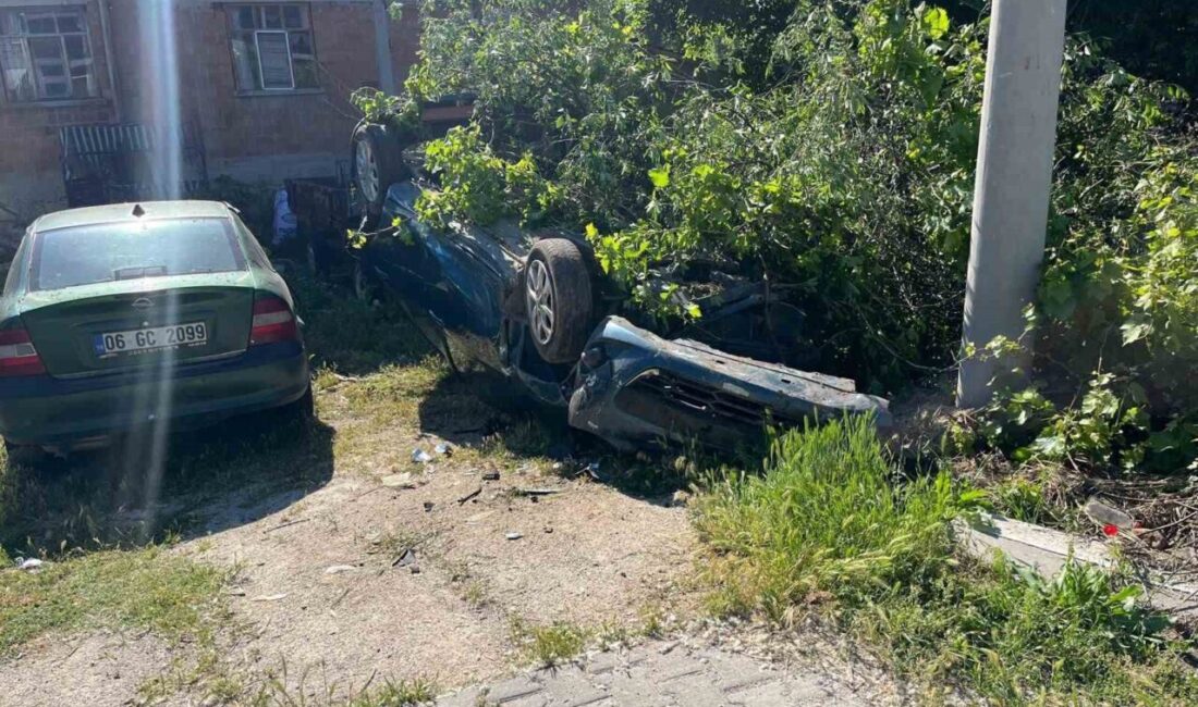 Afyonkarahisar’ın Bolvadin ilçesine bağlı Dişli beldesinde meydana gelen trafik kazasında,