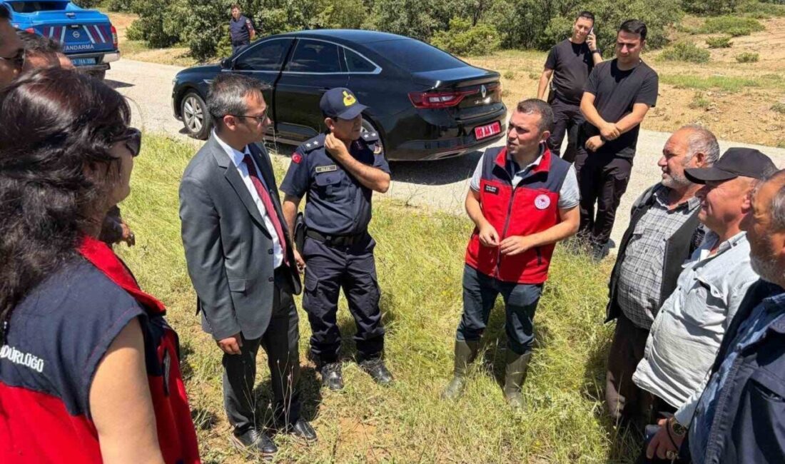 Afyonkarahisar ilinde geçtiğimiz hafta sonu meydana gelen dolu felaketi sonrasında,