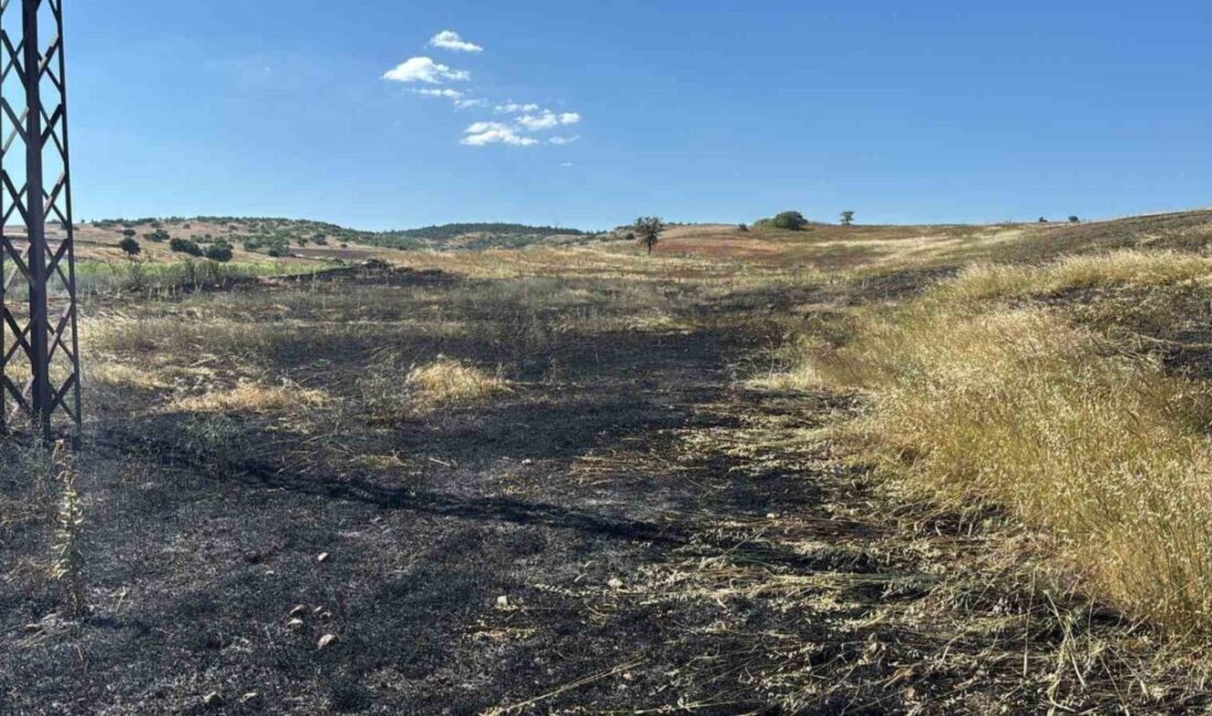 Tavşanlı ilçesinde hasat sırasında çıkan yangın, yaklaşık 15 dönümlük tarım