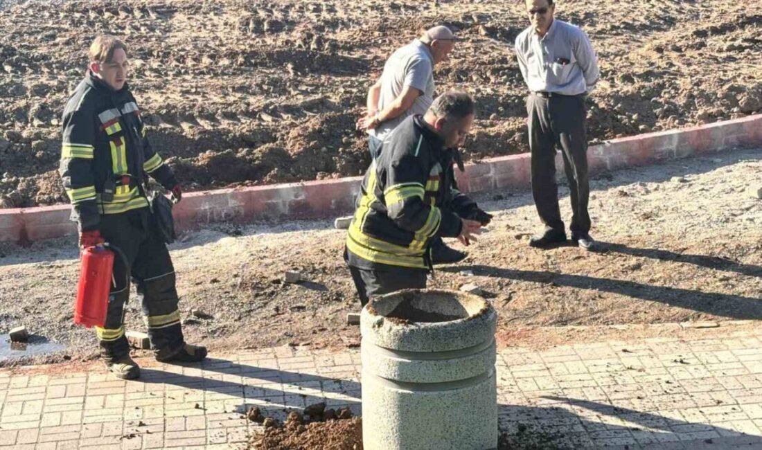 Tavşanlı ilçesinde bulunan Ada Mesire Alanı’nda piknik yapan vatandaşlar, alev