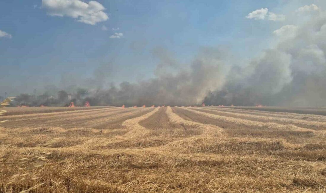 Marmaraereğlisi ilçesinde meydana gelen yangın, tarım arazilerinde 2 ayrı noktada