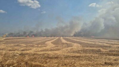 Marmaraereğlisi ilçesinde meydana gelen yangın, tarım arazilerinde 2 ayrı noktada