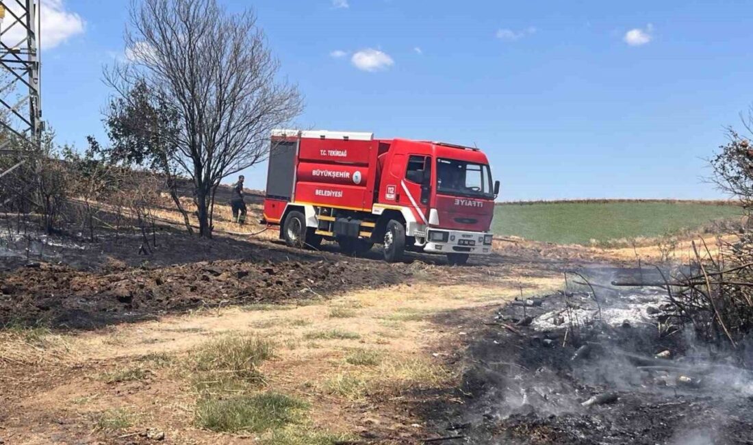 Hayrabolu ilçesindeki bir buğday tarlasında meydana gelen yangın, ekiplerin müdahalesiyle