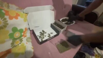Tekirdağ’da son bir hafta içinde gerçekleştirilen 124 uyuşturucu operasyonunda 124