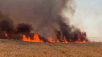 Tekirdağ’ın Süleymanpaşa ilçesinde meydana gelen yangında, yaklaşık 300 dönüm arazinin