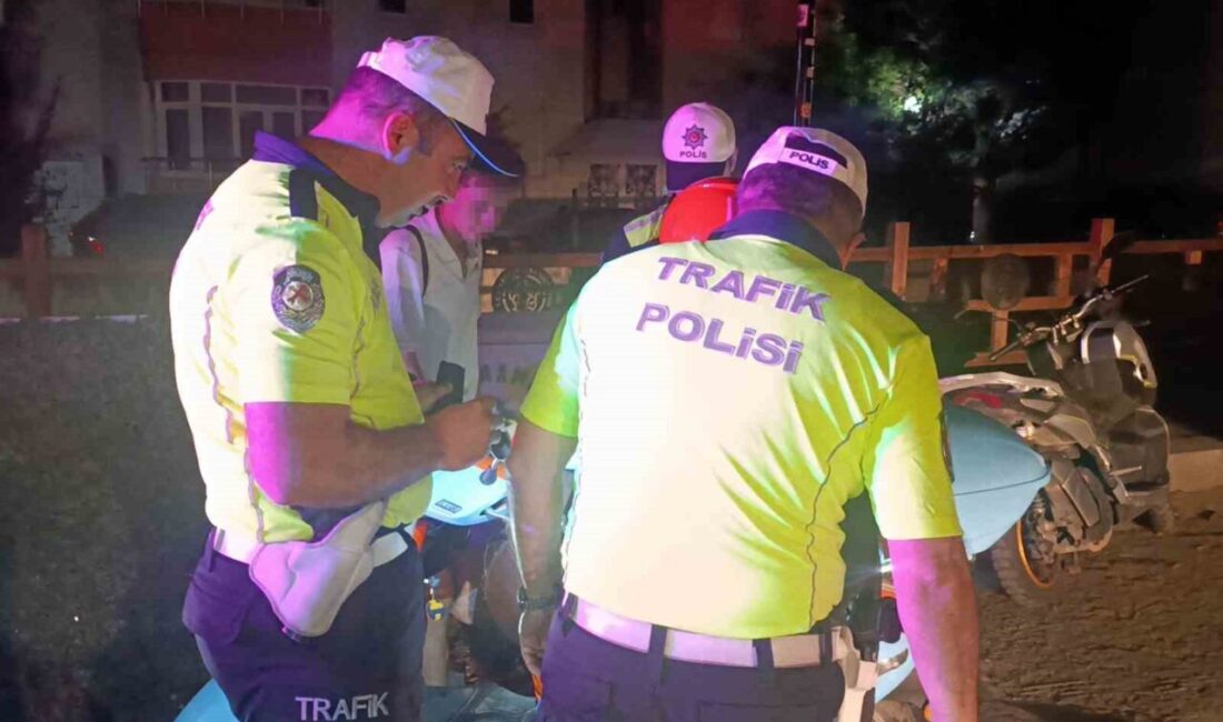 Tekirdağ İl Emniyet Müdürlüğü koordinasyonunda, Değirmenaltı Kumsalı ve çevresinde gerçekleştirilen