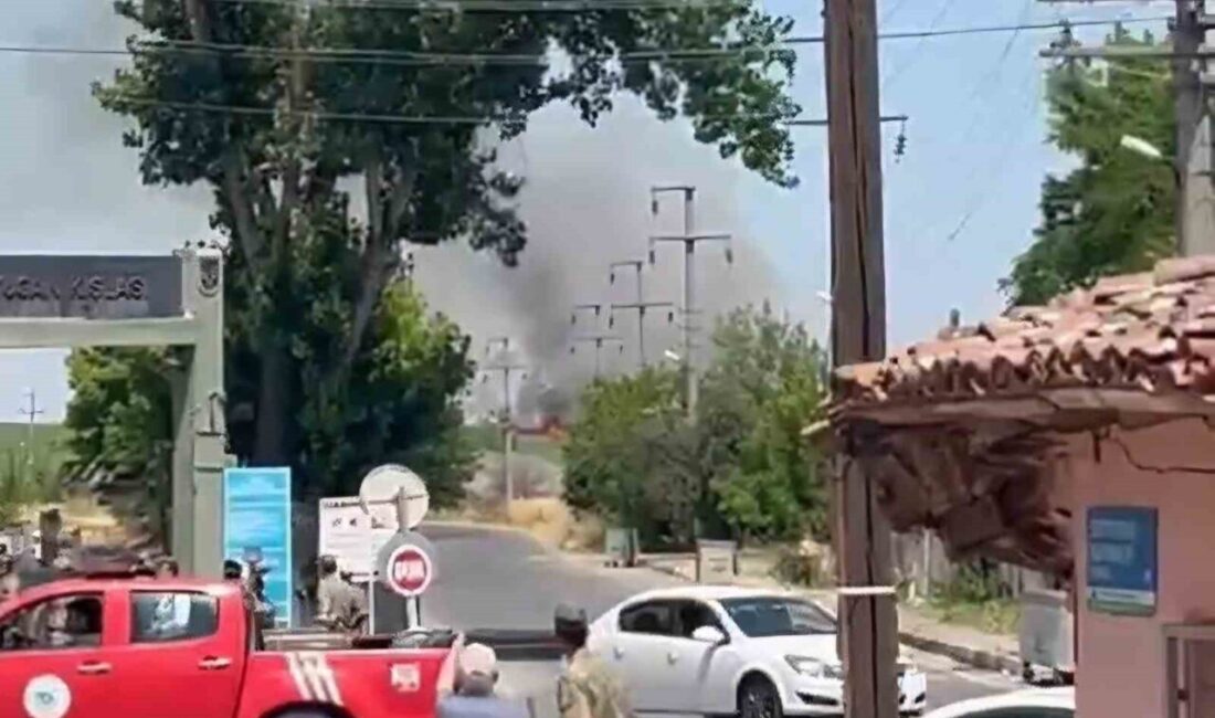 Tekirdağ’ın Hayrabolu ilçesinde, şehir merkezine yakın bir alanda çıkan ot