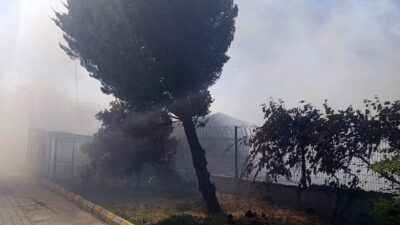 Marmaraereğlisi ilçesindeki tarım arazilerinde çıkan yangın, şiddetli rüzgarın etkisiyle hızla