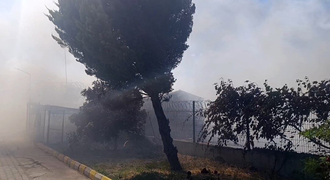 Marmaraereğlisi ilçesindeki tarım arazilerinde çıkan yangın, şiddetli rüzgarın etkisiyle hızla