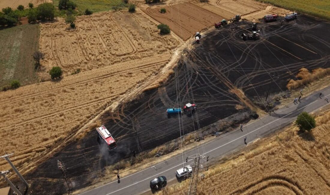 Tekirdağ’ın Süleymanpaşa ilçesine bağlı Kayı Mahallesi’nde tarım arazisinde çıkan yangın,