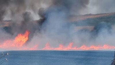Tekirdağ’ın Muratlı ilçesinde Kırkkepenekli Mahallesi ile Balabanlı Mahallesi arasındaki tarım