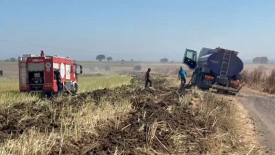 Tekirdağ’ın Süleymanpaşa ilçesine bağlı Gazioğlu Mahallesi’nde meydana gelen yangında, kanola