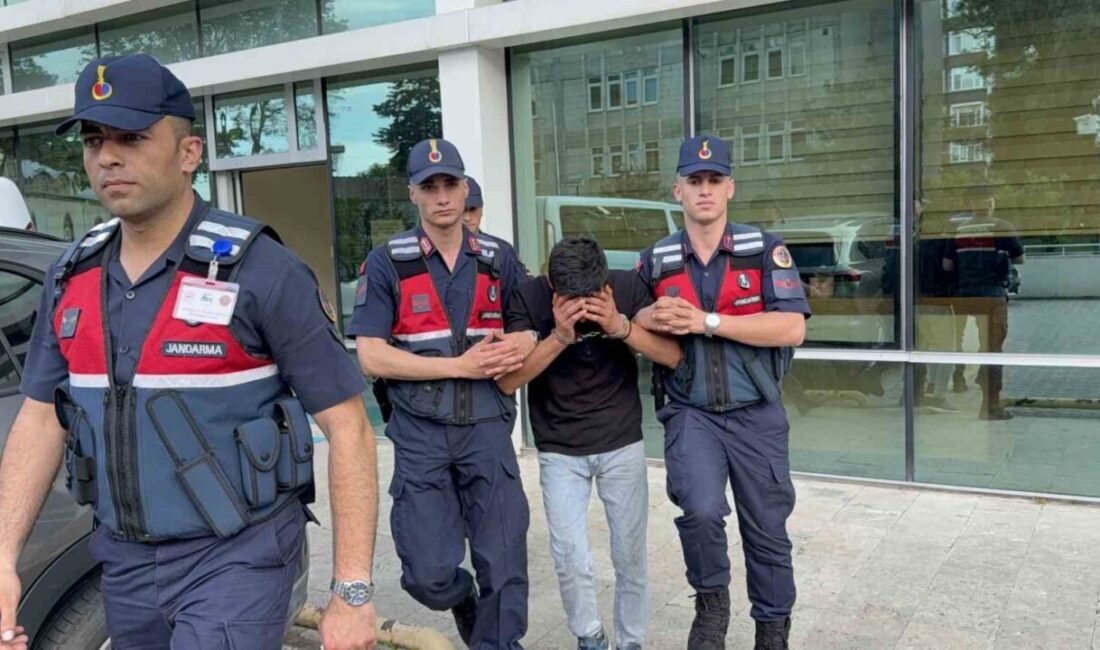 Samsun’un İlkadım ilçesinde yaşanan bir olayda, bir eve girerek 2