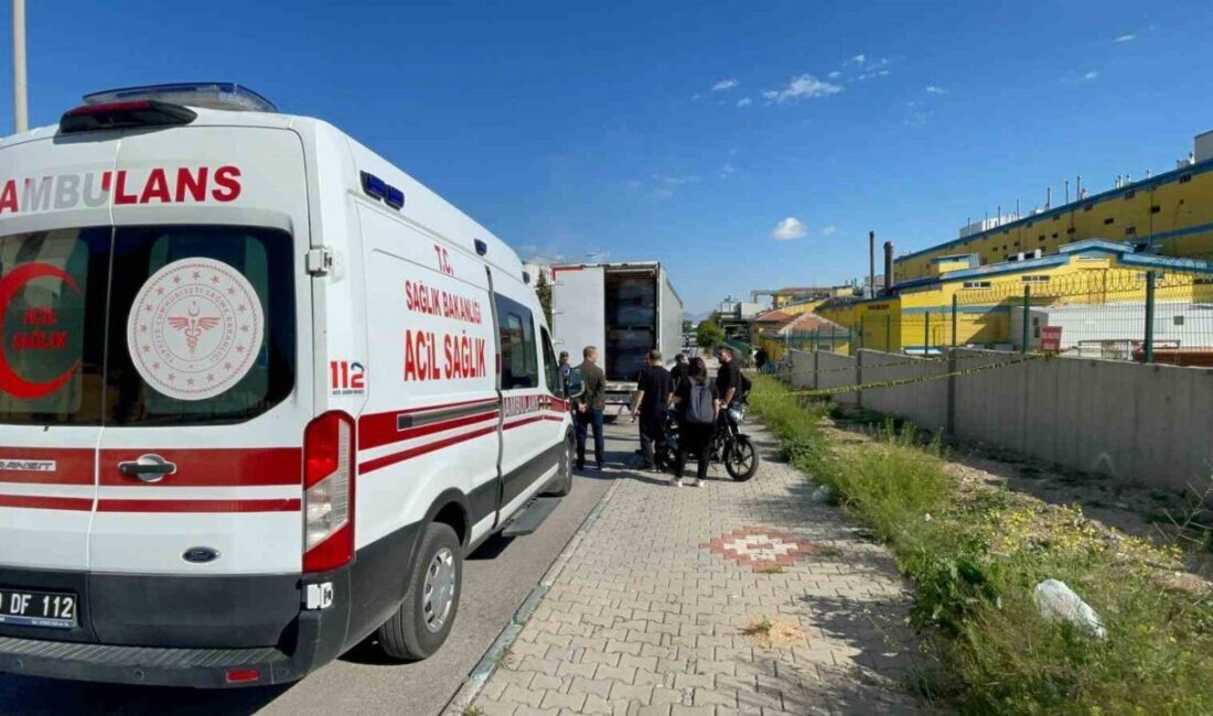 Karaman’da park halindeki bir tırın dorsede ölü bulunan şoförüyle ilgili