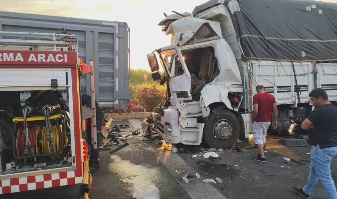 Manavgat ilçesinde meydana gelen trafik kazasında bir kamyon, kırmızı ışıkta