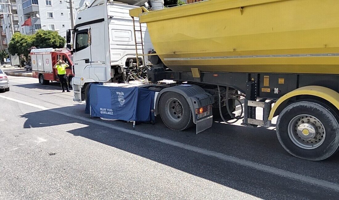 Milas ilçesinde meydana gelen bir trafik kazasında, yolun karşısına geçmeye