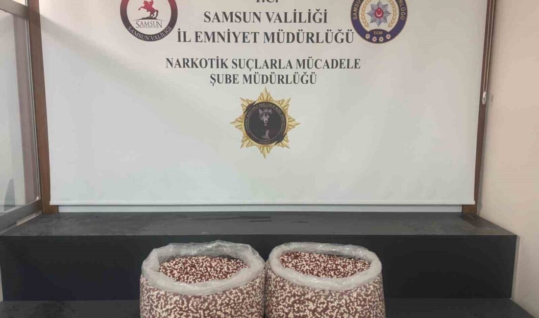 Samsun’da polis ekipleri tarafından durdurulan bir tırın yatak bölümünde 129