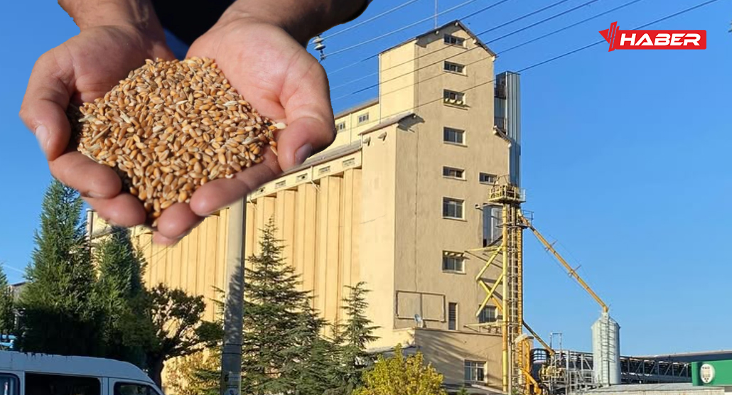 Milyonlarca çiftçinin merakla beklediği o haber geldi! Toprak Mahsulleri Ofisi