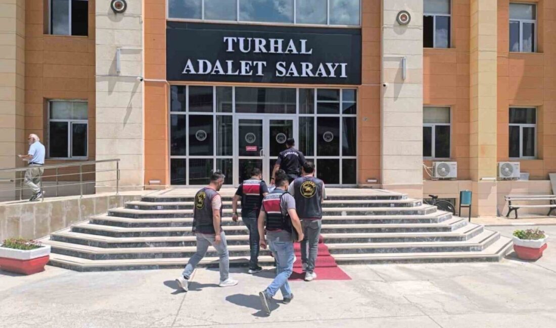 Tokat’ta jandarma ekipleri tarafından 7 aydır aranan ve hakkında 24