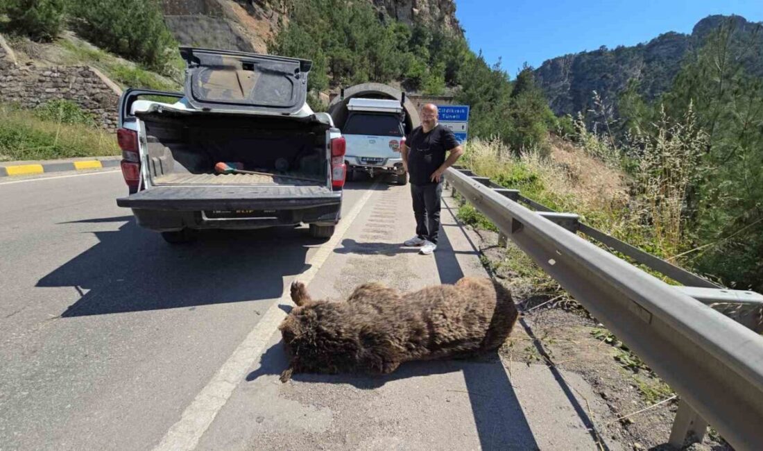 Karabük’te, dün akşam meydana gelen üzücü bir olayda otomobilin çarptığı