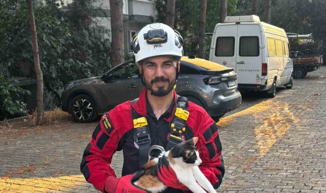 Efeler ilçesinin Girne Mahallesi’nde üç gün boyunca çam ağacında mahsur