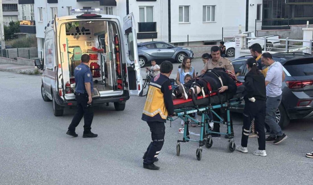 Tosya ilçesine bağlı Bahçeli Evler Mahallesi’nde meydana gelen bir olayda,