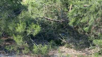 Denizli’nin Honaz ilçesinde traktörü uçuruma yuvarlanan sürücü, hayatını kaybetti. Kaza,