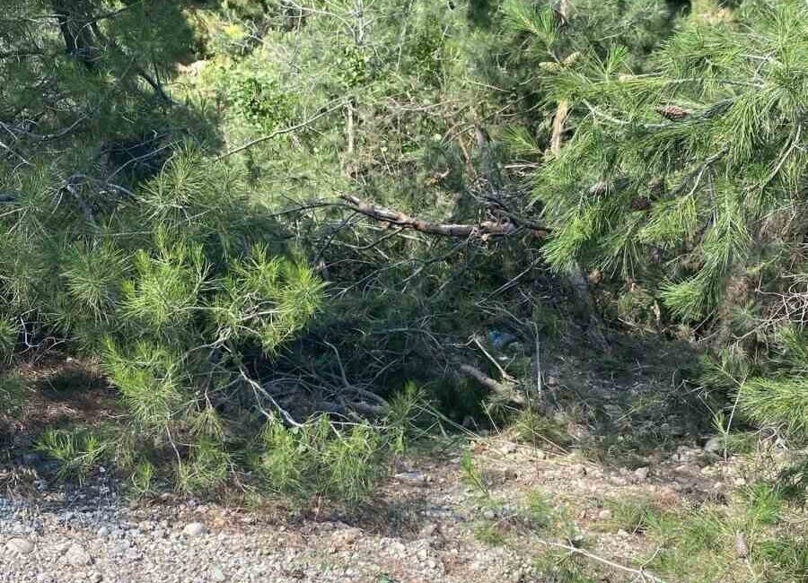 Denizli’nin Honaz ilçesinde traktörü uçuruma yuvarlanan sürücü, hayatını kaybetti. Kaza,