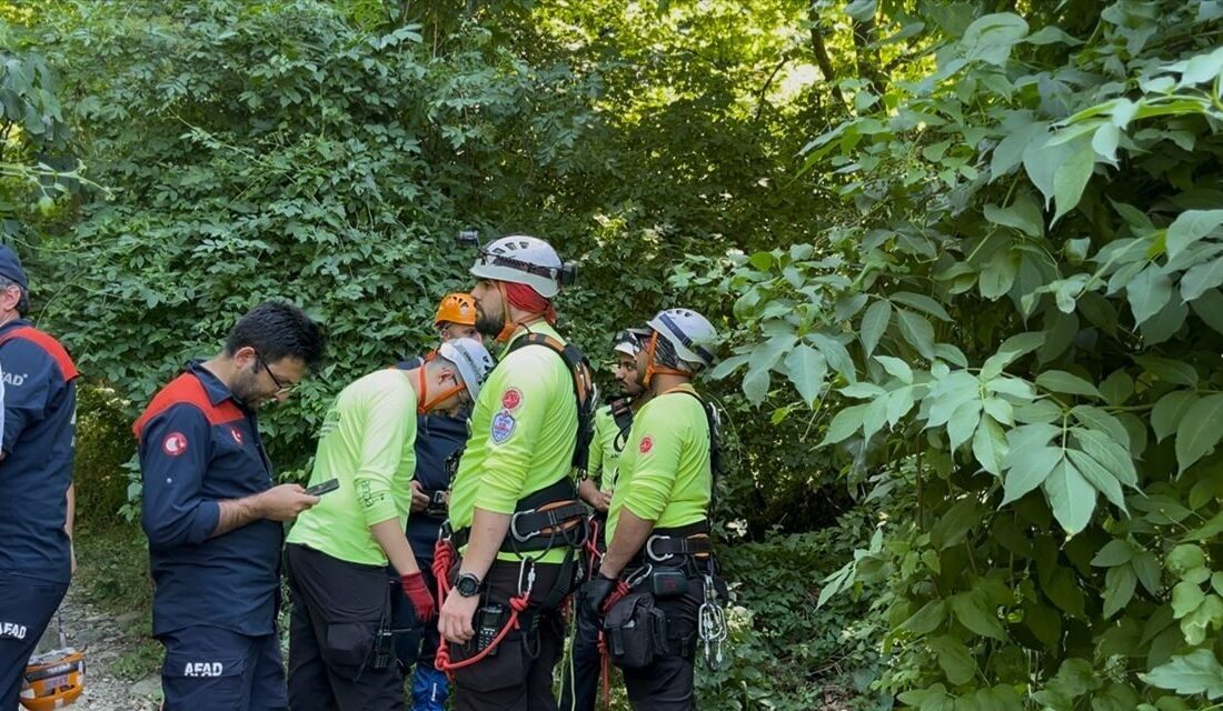 Bir kişi, Bursa’dan Uludağ’a ıhlamur toplamak amacıyla gittiği sırada uçurumdan