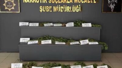 Hevsel Bahçeleri’nde gerçekleştirilen hava destekli operasyonda, Diyarbakır’da UNESCO Dünya Mirası