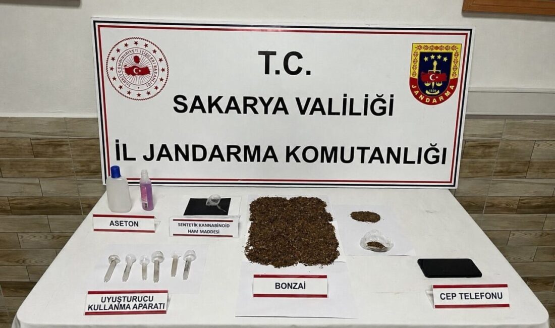 Sakarya’da jandarma tarafından gerçekleştirilen operasyonda, 212 kök kenevir bitkisi ile