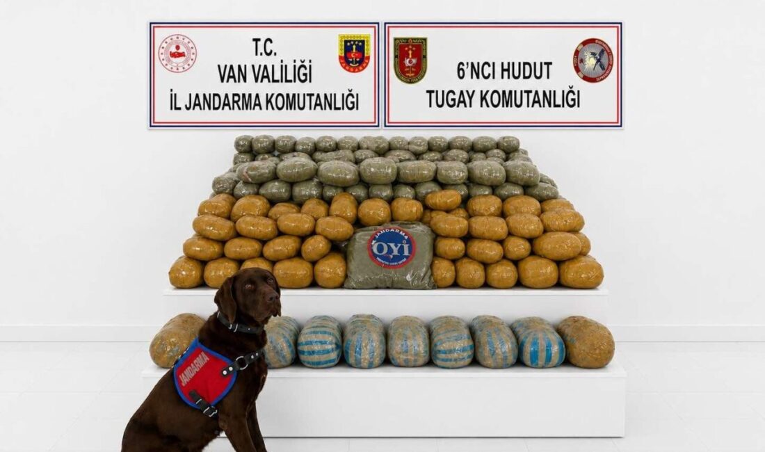 Van’ın Başkale ilçesinde gerçekleştirilen hava destekli operasyonda jandarma ekipleri 291