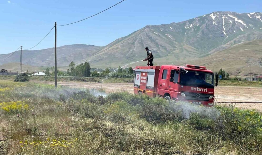 Gevaş ilçesindeki Atalan Mahallesi’nde meydana gelen anız yangını, hızla müdahale
