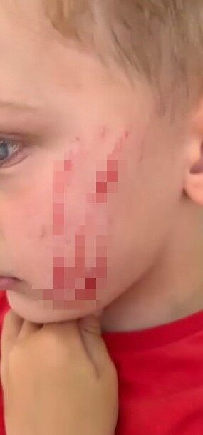 Van’ın Edremit ilçesinde, sokakta oyun oynayan dört yaşındaki bir çocuk,