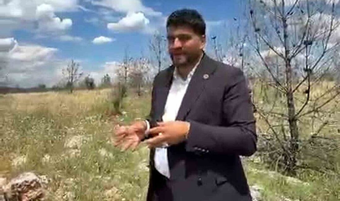 Gaziantep’in Araban ilçesine bağlı Hasanoğlu ve Sarıtepe mahallelerinde ikamet eden